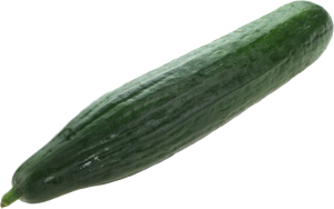 Cucumber PNG-12604